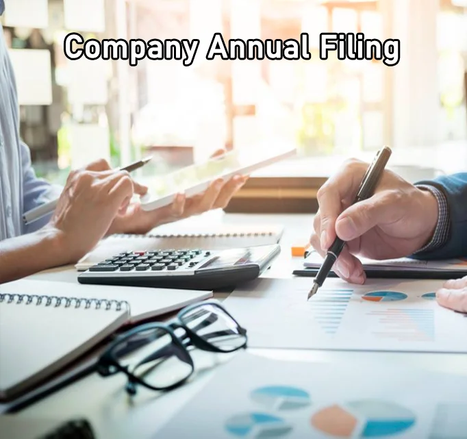 Company-Annual-Filing